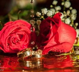 Casamento Edinéia & Gustavo